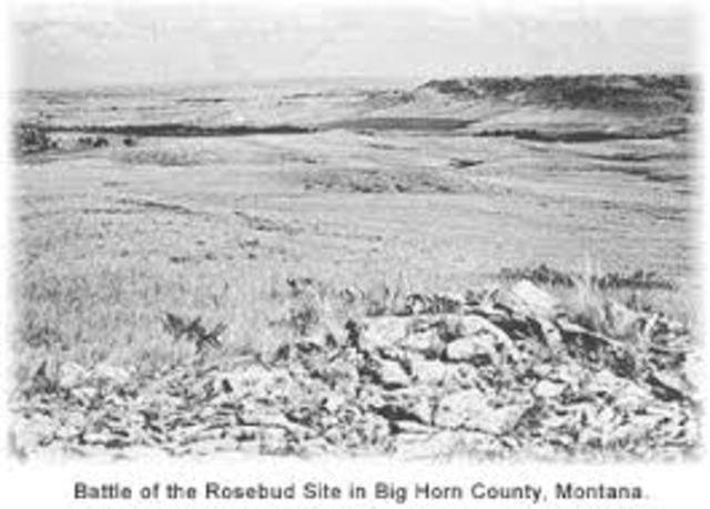 Battle of the Rosebud 1876