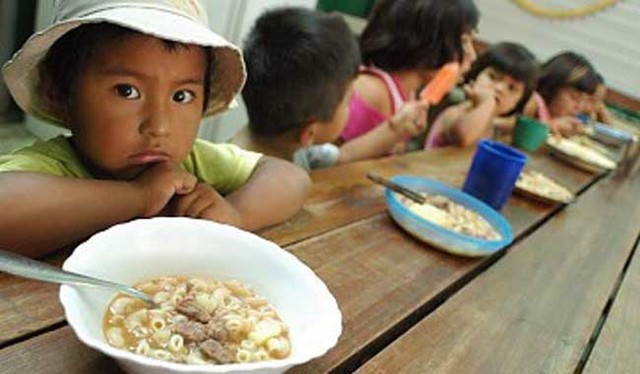 Programa Nacional de Solidaridad (Pronasol).