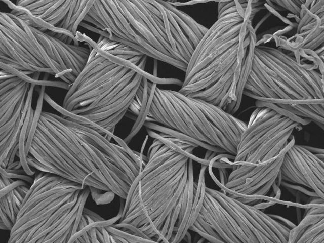 NUEVOS TEJIDOS QUE SE LIMPIAN SOLOS