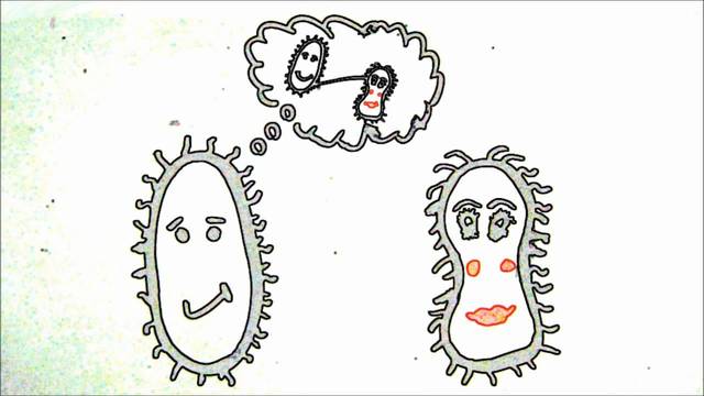 Descubrimiento de la Transformación Genética en Bacterias