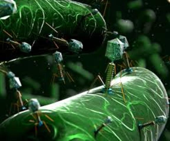 Comercialización de Fagos Terapéuticos.