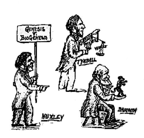 Biogénesis y Abiogénesis