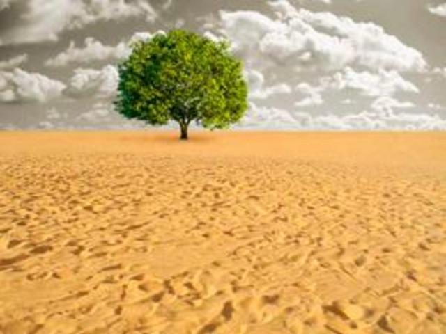 Publicación "Tragedia de los Comunes"