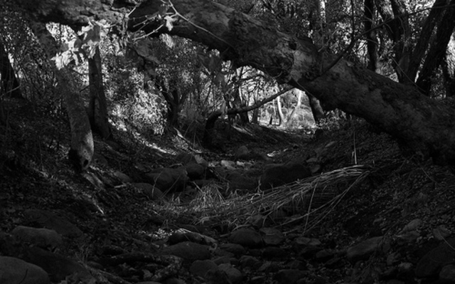 Nulla vehicula apparent quod advesperascit.