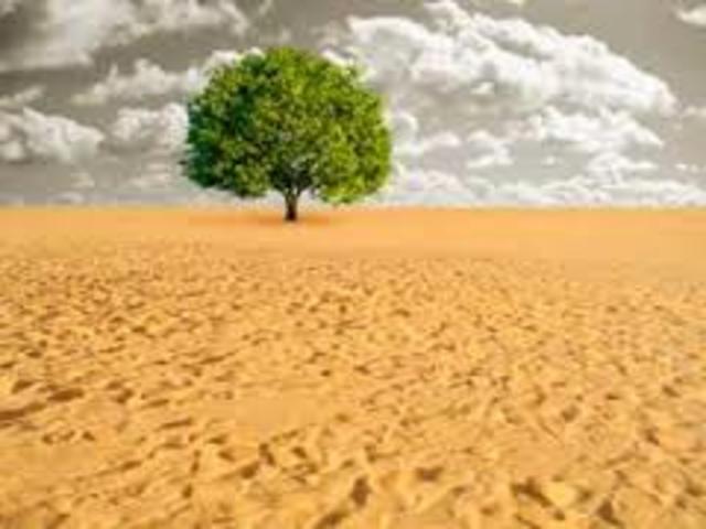 Publicación “La Tragedia de los comunes”