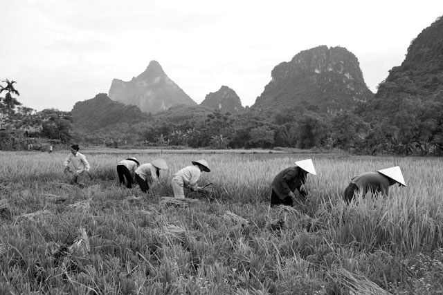 Actualización global