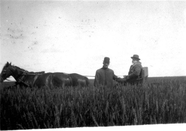 Necesse est igitur ad cauponam ire. Agite puerī!”