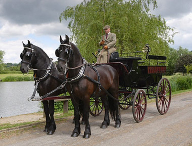 Itaque, dum Eucleides Cornelios ad cauponam dūcēbat, raedarius solus in viā manebat; raedam et equos custodiebat.