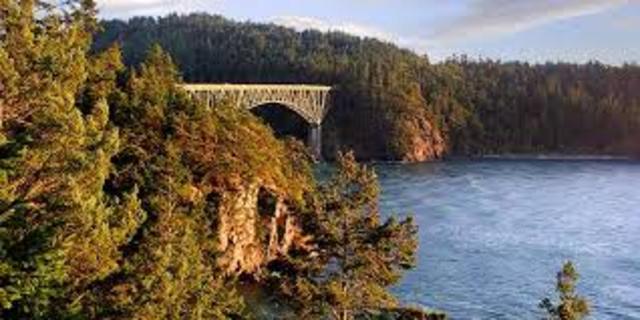 Moved Back to Washington State