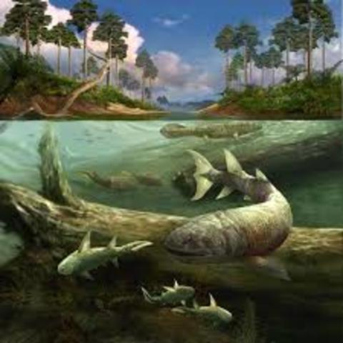 Devonian Extinction