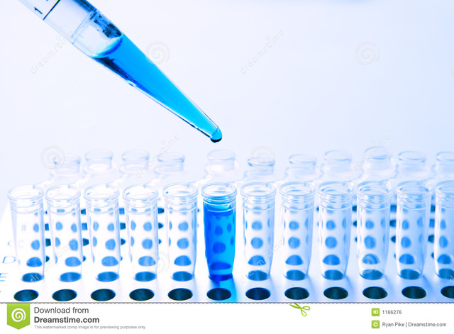 Ciència mèdica i escoles clíniques