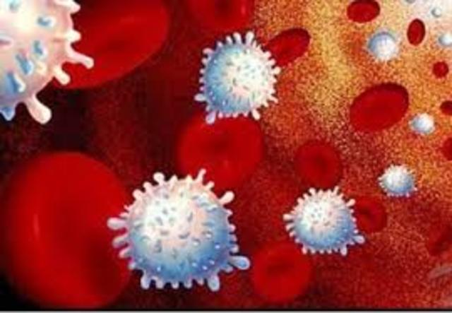 Células para curar la diabetes