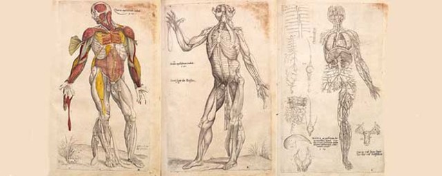 Revolució científica del segle XVII