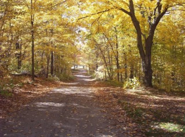 Familia ambulant via