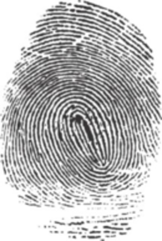 DNA Fingerprint Analysis