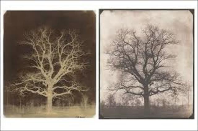 Calotype was invented
