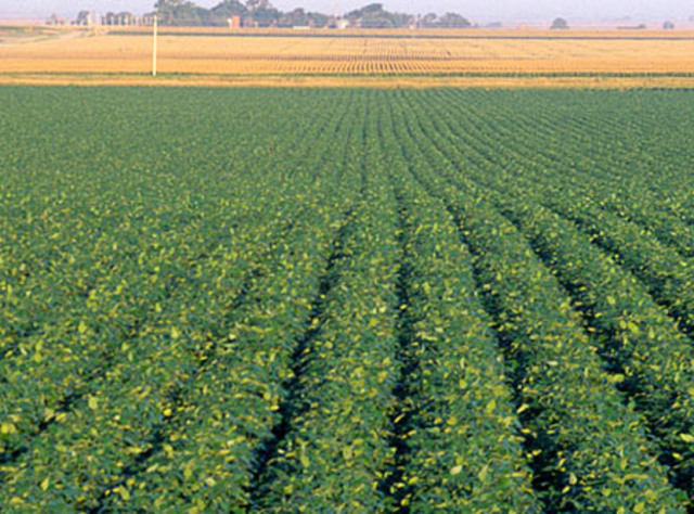 Oficina internacional de la agricultura