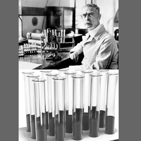 Descubrimiento de los grupos Sanguíneos