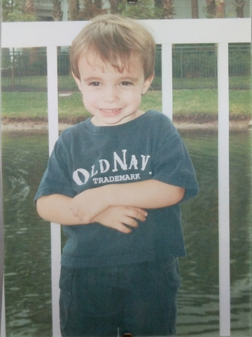 Development of language and schemas