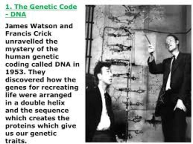 MAY 4, 1953 DNA discovered