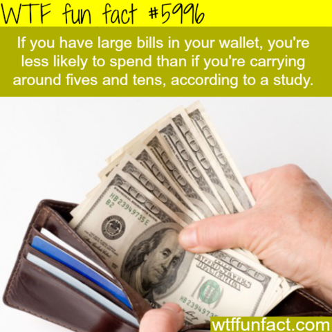 Interesting Facts about Saving Money
