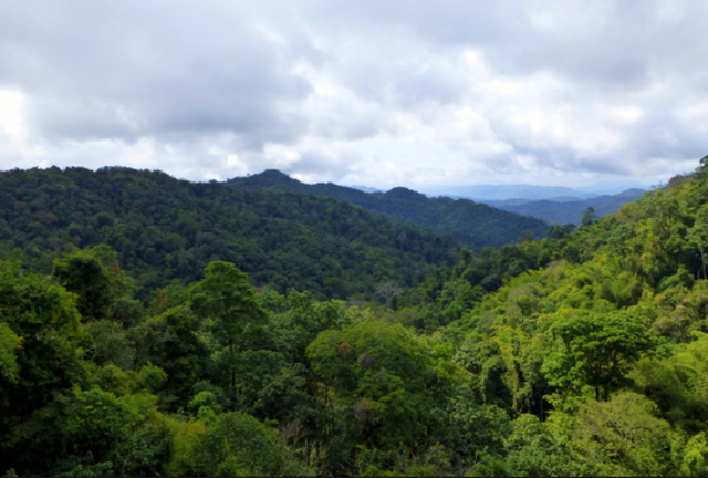Parents Meet Each Other