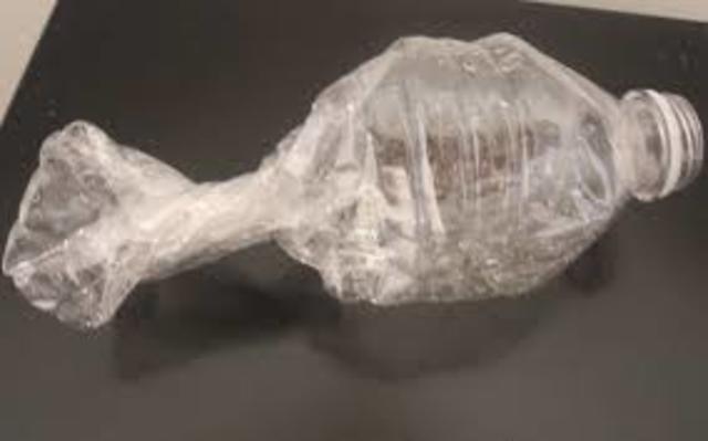 My little brother was born