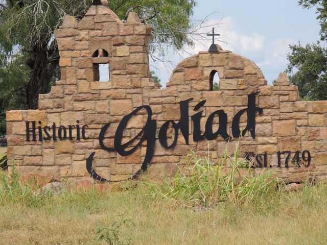 Battle of Goliad
