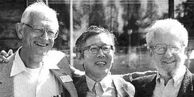 Creación de polimeros