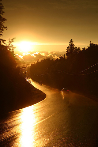 "Hīc in Viā Appiā  pernoctare non possumus."