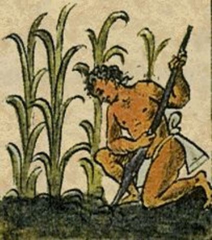 Período Preclásico (2,500a.C. a 200 d.C.)