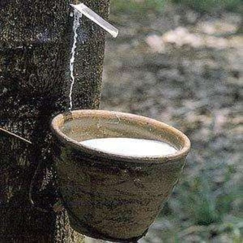 Segunda Guerra Mundial