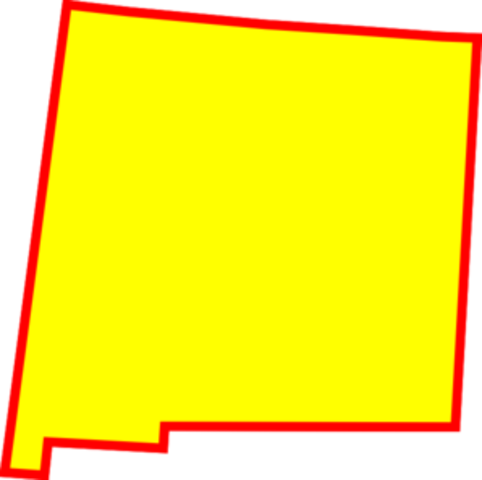 New Mexico becomes a state