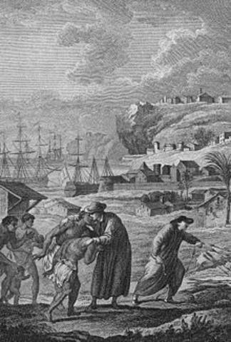 La croissance des colonies