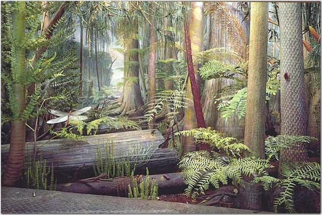 palezoic period-carboniferous 345M-280M