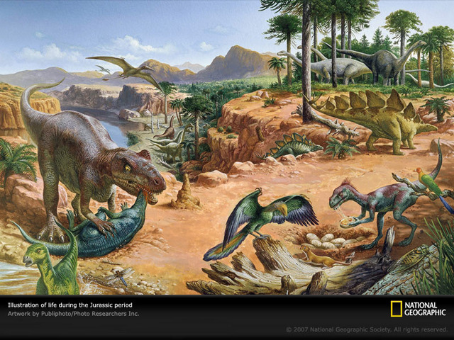 Palezoic period-jurassic 195M-136M