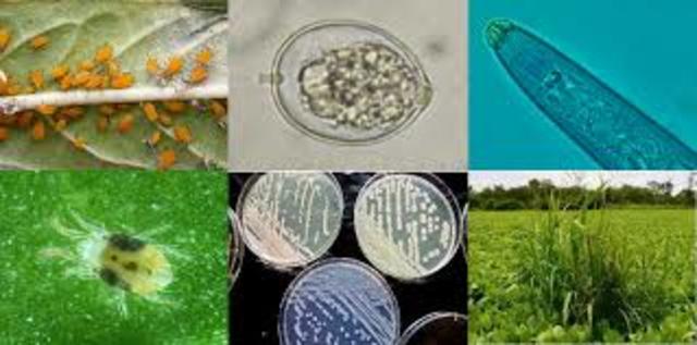 Parasitología Agrícola