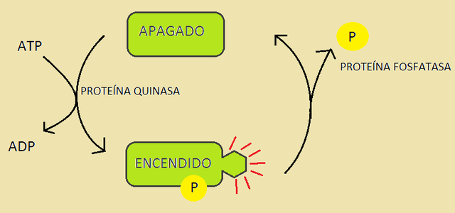 Interruptores moleculares