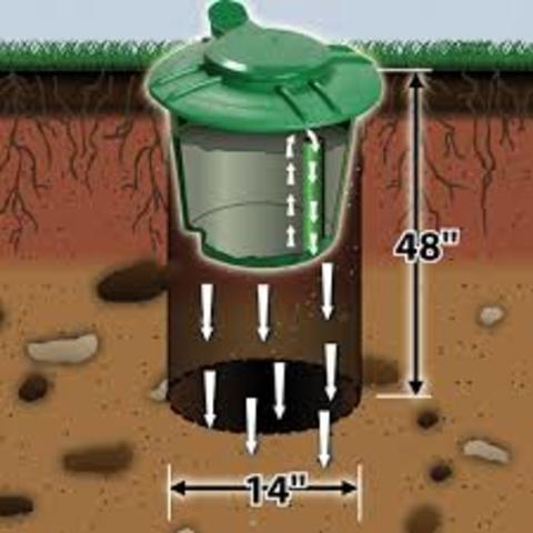 In ground Dog Compost
