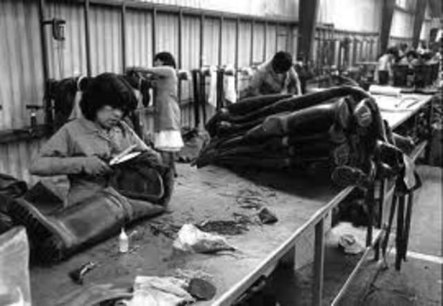 Se estableció fondo para apoyo a la industria.