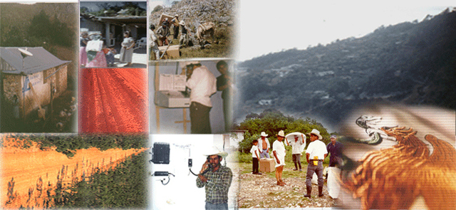 Creación del Programa de Bienestar Social Rural