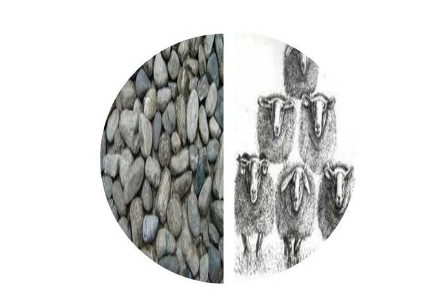 Contar con piedras (500 a.C.)