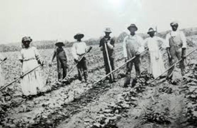 Sharecropping and Tenant Farming