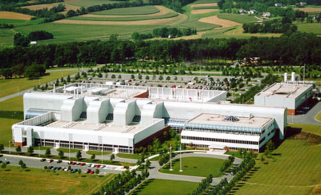 Working for AT&T Bell Laboratories