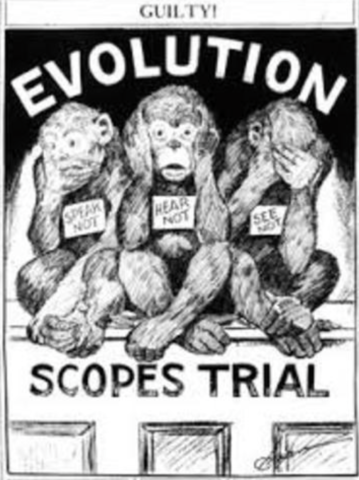 Scopes Monkey Trial