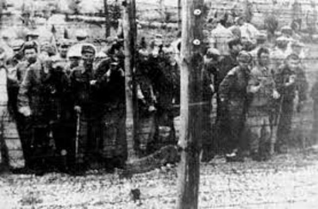 Discovery of Majdanek