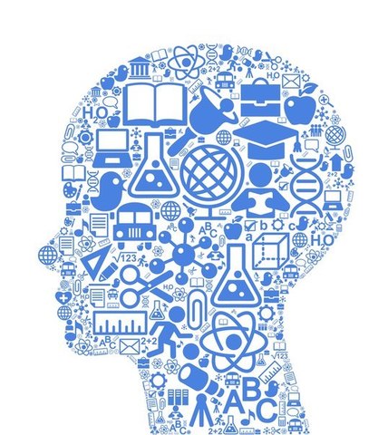 bchoauisbxcashbcoaCB