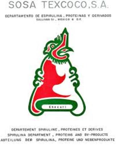 CREACION DE SOSA TEXCOCO