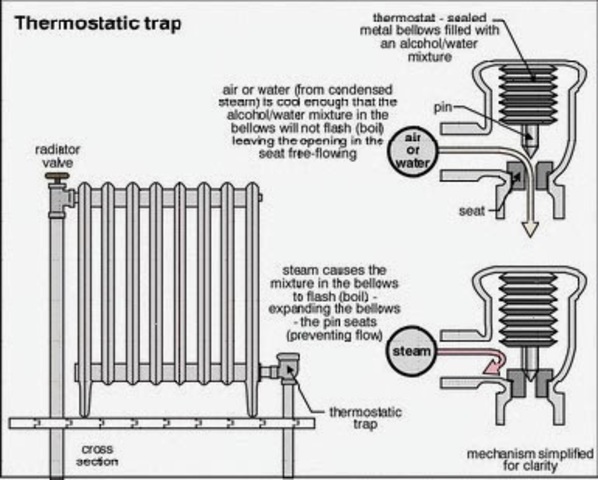 Creation of the Radiator