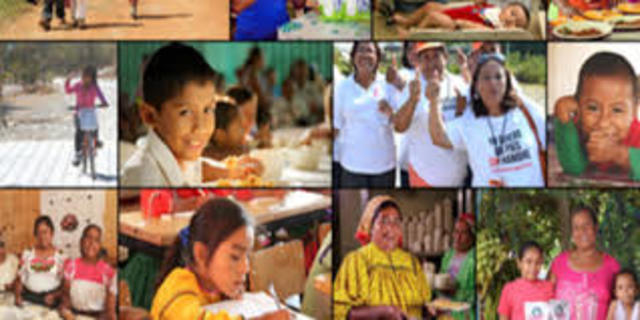 Elecciones y programas sociales